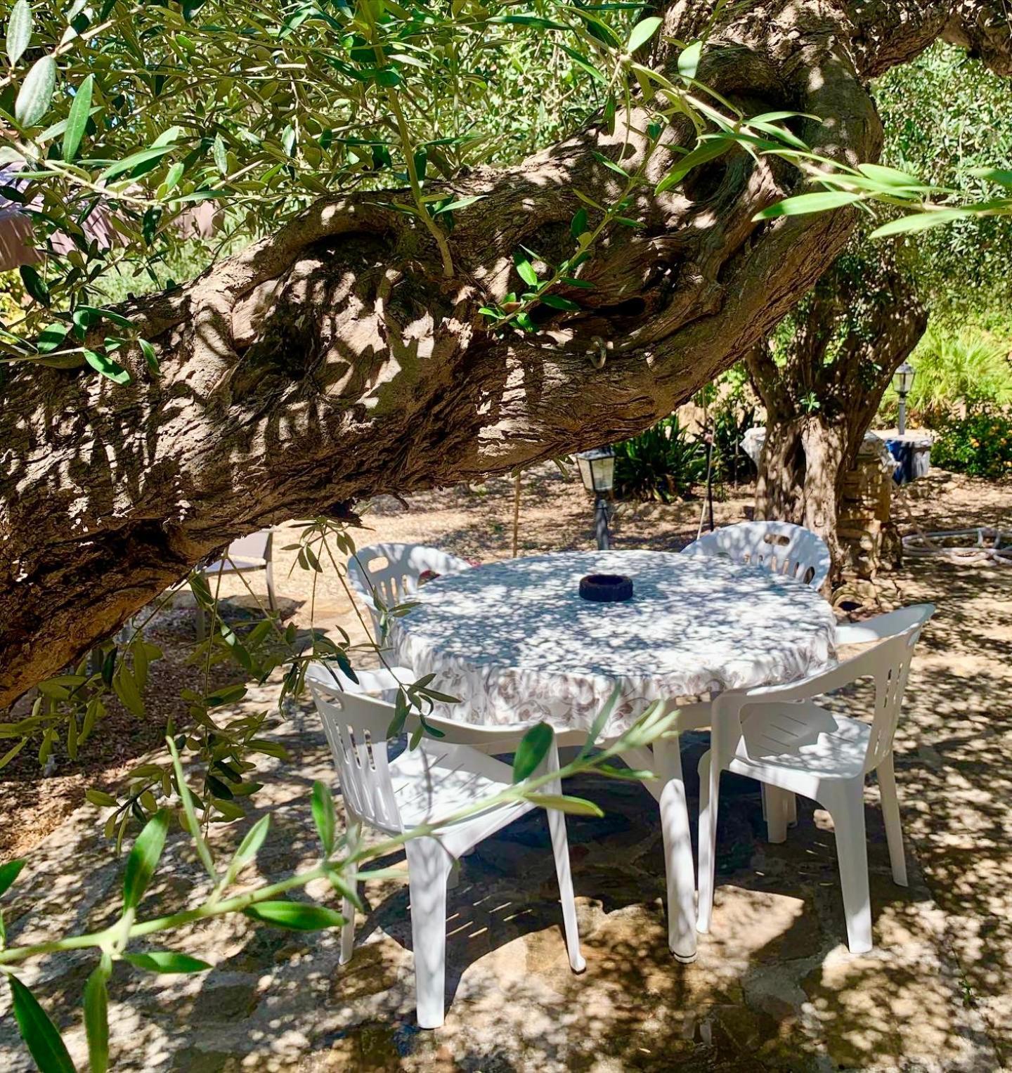 Casa Dell'Olio - Al Baglio Villa Paceco Bagian luar foto