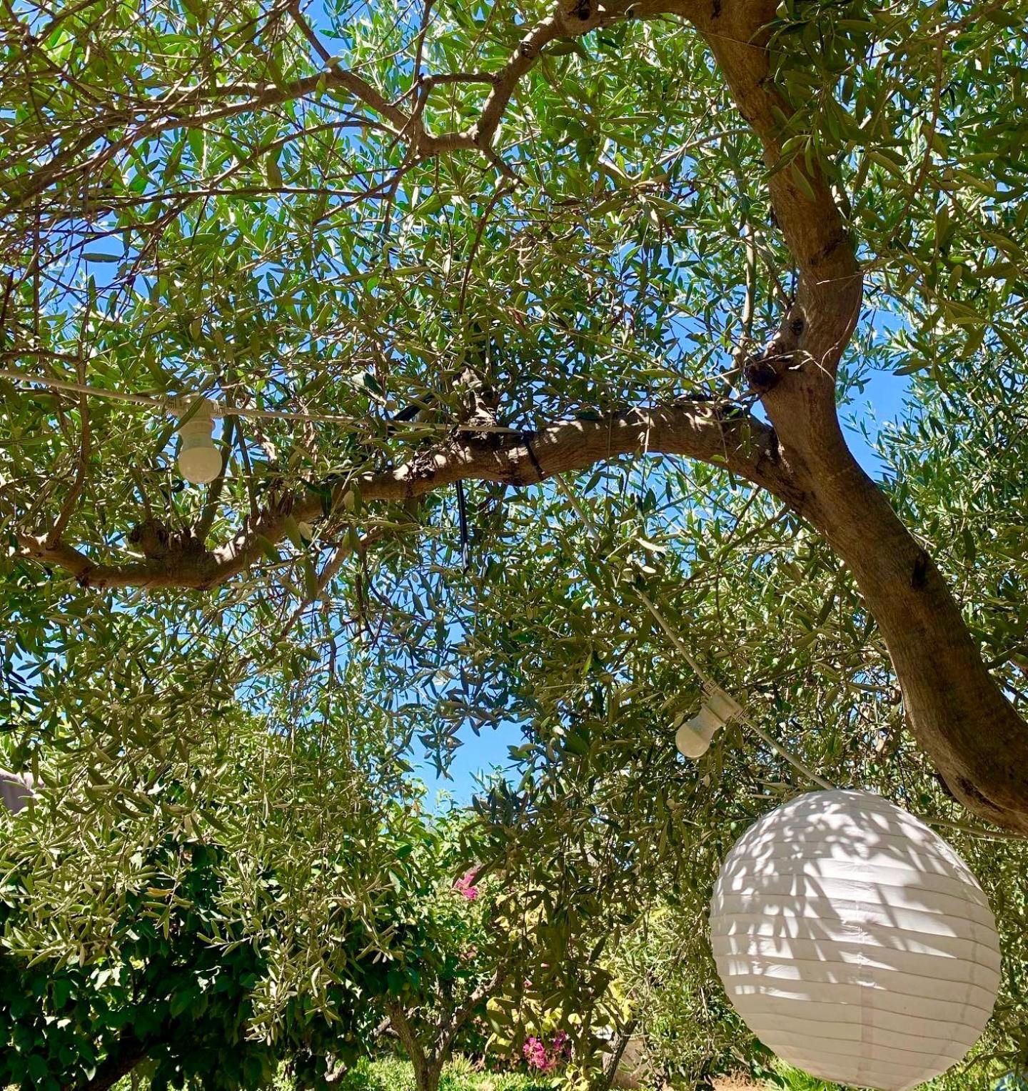 Casa Dell'Olio - Al Baglio Villa Paceco Bagian luar foto